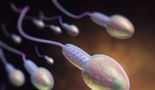 ¿Por qué el sexo oral puede impedir abortos espontáneos?