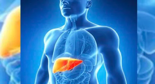 Hepatitis: "El 95% de las personas están infectadas y no lo saben" Hepatitis: "El 95% de las personas están infectadas y no lo saben"