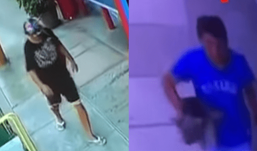 Denuncian mafia dedicada al robo de mascotas [VIDEO]