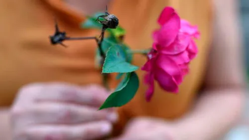 Día de la Madre 2019: ¿Qué día se celebra en el mundo?