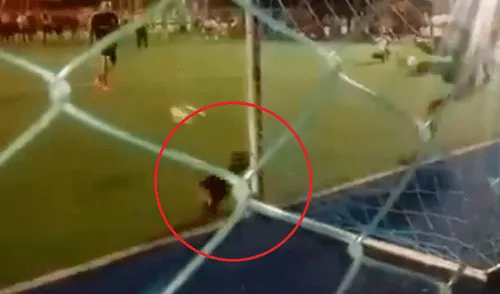 Facebook: perro se mete a una cancha y tapa el penal de la final de un campeonato [VIDEO]