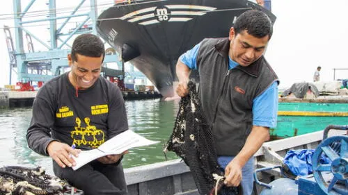 Minedu: pescadores artesanales estudian en puertos para culminar educación básica Minedu: pescadores artesanales estudian en puertos para culminar educación básica
