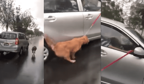 Perro amarrado a un auto y jalado bajo la lluvia genera indignación [VIDEO]