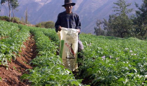 Ministerio de Agricultura: sector agropecuario creció 9% en julio Ministerio de Agricultura: sector agropecuario creció 9% en julio