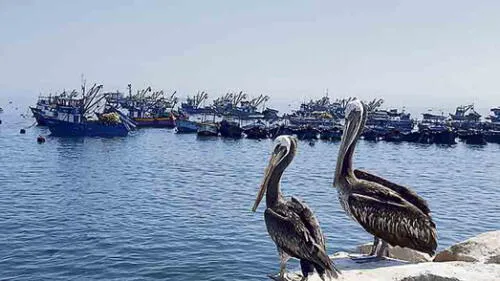 Pescadores y su mar de reclamos