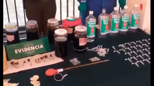 Intervienen laboratorio de DMT o 'droga de los dioses' en Chile [VIDEO]