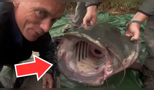 YouTube viral: investigadores encuentran a misteriosa criatura que causa terror en usuarios [VIDEO]