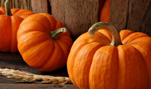 La calabaza surgió como un símbolo para Halloween en la celebración en EE.UU. Foto: El Popular