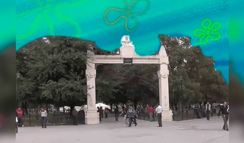 Facebook viral: la curiosa razón por la que todos están compartiendo memes con el Fondo de bikini [FOTOS]