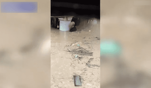 Desliza las imágenes para ver las sorprendentes escenas del hombre rescatando al perro. Foto: captura de YouTube Hombre ingresa a zona inundada por huracán para salvar a perro atrapado