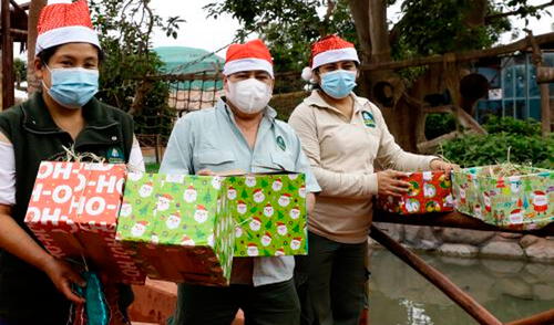 Animales podrán disfrutar de sus comidas favoritas. Foto: Andina Animales podrán disfrutar de sus comidas favoritas. Foto: Andina