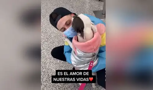 Desliza las imágenes para ver más detalles sobre esta emotiva escena que es viral en redes sociales. Foto: captura de TikTok Joven se reencuentra con su perrita y juntas protagonizan emotiva escena