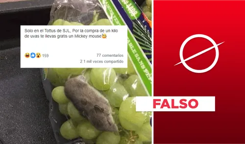 No, foto del “ratón” en un paquete de uvas no fue tomada en Tottus. Foto: composición Verificador