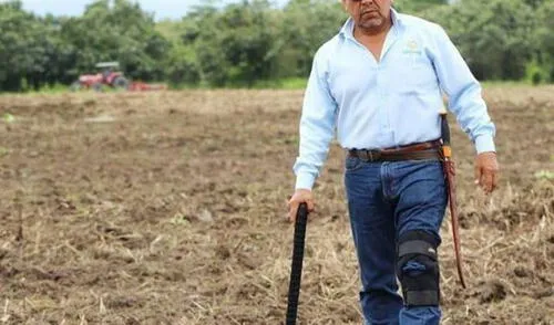 Ucayali: Detienen a director regional de agricultura por tráfico de tierras Ucayali: Detienen a director regional de agricultura por tráfico de tierras