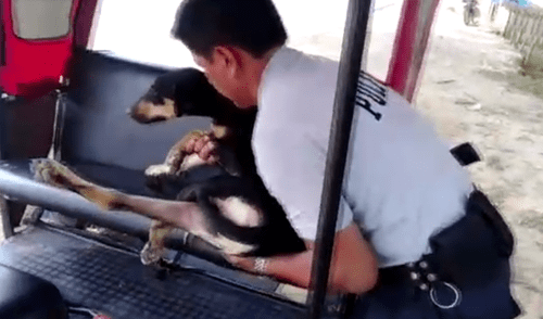 El perrito fue rescatado por el agente de la PNP. El perrito fue rescatado por el agente de la PNP.