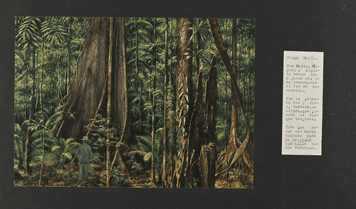 El legado de Ryszard Jaxa Malachowski