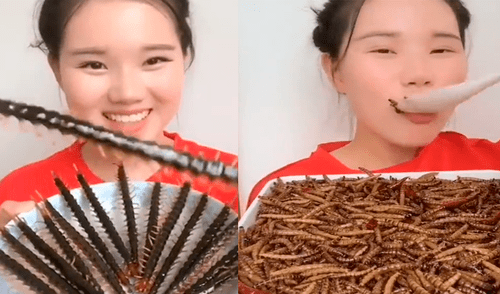 Facebook: joven asiática sorprende a miles al comer todo tipo de peligrosos insectos [VIDEO]