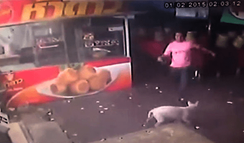 YouTube: hombre recibe fuerte golpe en la cabeza al intentar agredir a un perro [VIDEO]