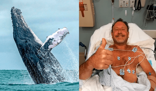 Historia a la Pinocho: ballena se ‘traga’ a un pescador y luego lo escupe sano y salvo