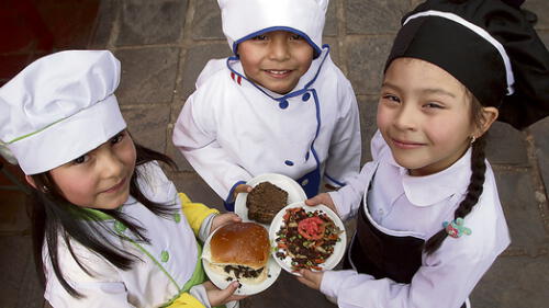 Cusco: la sangrecita, arma contra anemia