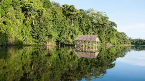 Cuatro comunidades se movilizaron para exigir la atención del Estado. Foto: Andina. madre-de-dios-matsigenka