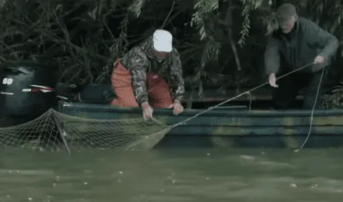 YouTube viral: gigantesca criatura