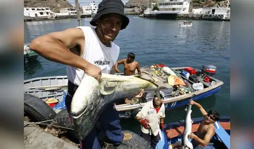 Oficializan norma para que los pescadores puedan retirar el 90% de su CTS Oficializan norma para que los pescadores puedan retirar el 90% de su CTS