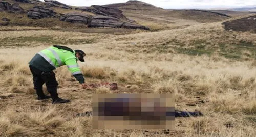 Rayo mata a anciana en la provincia de Canas. Rayo mata a anciana en la provincia de Canas.