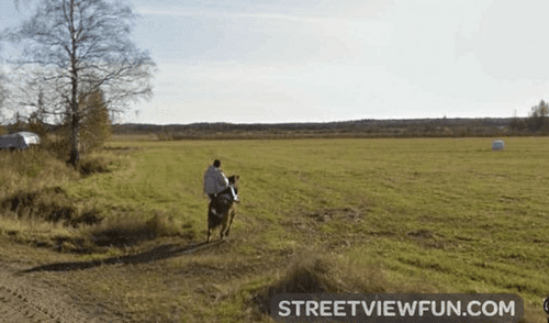 Google Maps: hace 'zoom' en jinete lo sigue y se percata de la escena más graciosa [FOTOS]