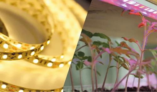 Decoración con luces LED, una tendencia diferente y ecoamigable