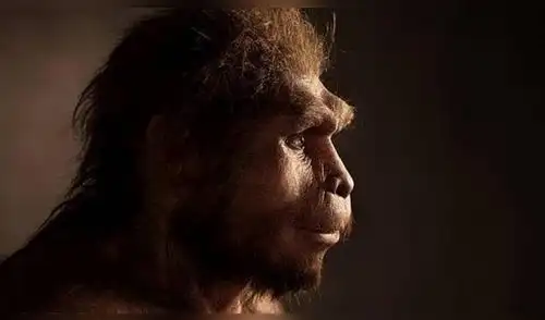 Homo Sapiens. Foto: E. Daynes.