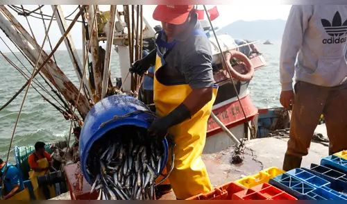 Semana Santa: Demanda de pescado aumentará en 29 % Semana Santa: Demanda de pescado aumentará en 29 %