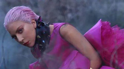 "Si no eres trabajador de primera línea, quédate en casa. Saldremos de esta", se lee. (Foto: Instagram) Lady Gaga