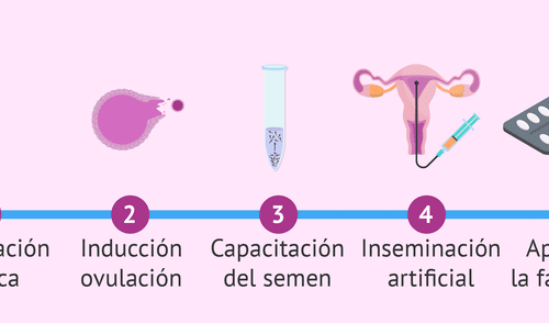 Cada vez más mujeres en el mundo recurren a un banco de semen para cumplir su sueño de ser mamás solteras. Foto: Difusión.