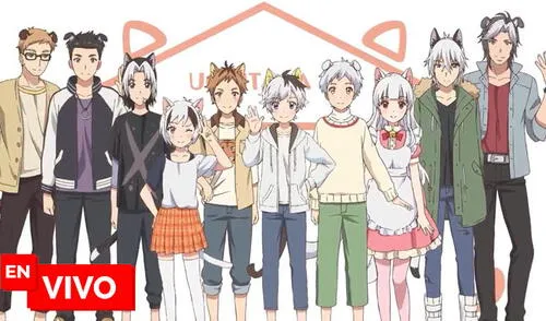El nuevo anime de temporada para los furros Uchi no Tama