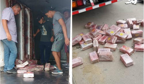 Decomisan más de 370 kg de marihuana escondida en las paredes y el techo de un camión [FOTOS]