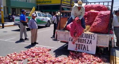 Agricultores indicaron que el kilo de la cebolla es comercializado en el campo entre 10 a 15 céntimos.