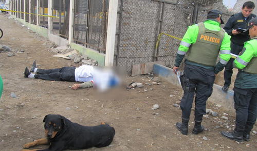 En Tacna muere hombre acusado de maltratar animales En Tacna muere hombre acusado de maltratar animales