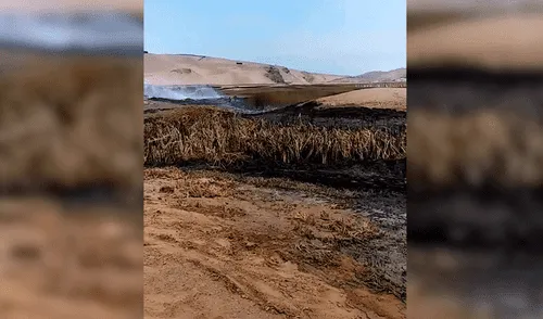 Cañete: así quedaron los pastizales de Puerto Viejo tras incendio forestal [VIDEO]