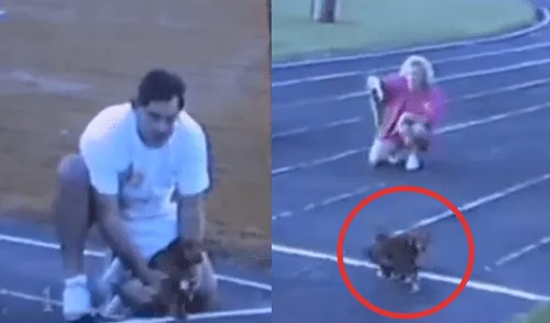 Facebook viral: competencia de carrera deja al descubierto al perro más tramposo del mundo [VIDEO]