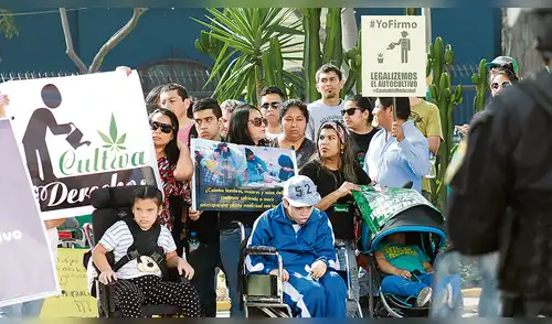 Continúa la lucha de los pacientes que necesitan el aceite de cannabis