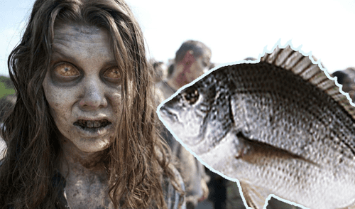 YouTube viral: descubren aterrador pez zombie y usuarios creen que llega de ‘The Walking Dead’ [VIDEO]
