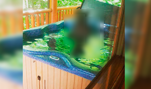 Facebook viral: Novios descubren gigantesca criatura bañándose en su jacuzzi y quedan en shock [VIDEO]