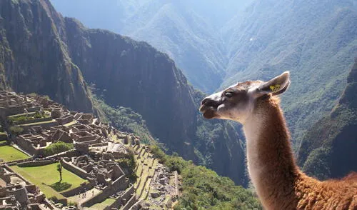 Un día como hoy: Machu Picchu se convierte en una Nueva Maravilla del mundo