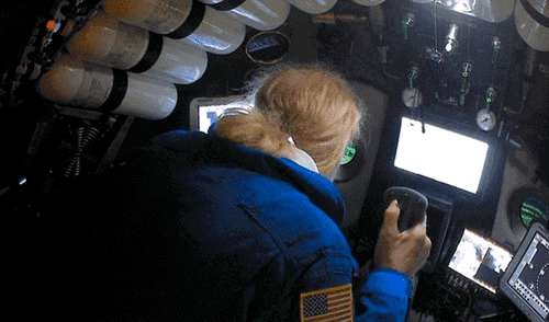 YouTube viral: Explorador se mete al fondo del mar y descubre extrañas criaturas marinas [VIDEO] 