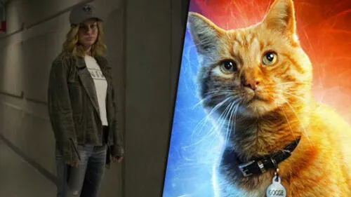 Capitana Marvel: el gato Goose es el protagonista del nuevo adelanto [VIDEO]