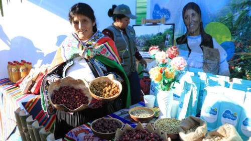 Puno degustó el mejor café y cacao del valle de Sandia y Carabaya [FOTOS]