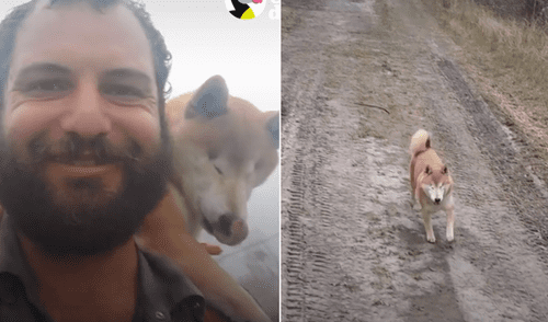 La perrita quedó ciega por un glaucoma en los ojos y su dueño la ayudó a recuperar su confianza para excurisonar. Foto El Dodo / Facebook Perrita