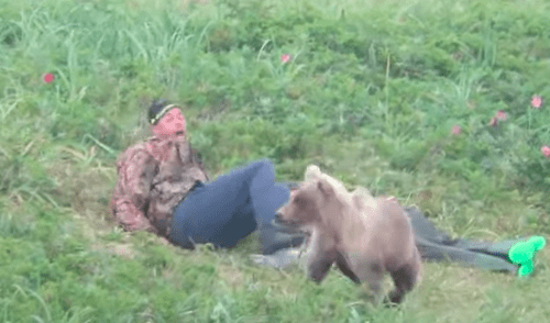 oso viral chicos dormidos