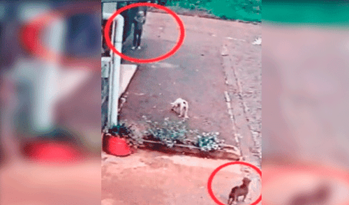 Cámaras captaron el terrible accionar del hombre.